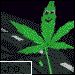 Poze cu fiecare elev ! - Loool..... u ai acc la toate datele - Poze